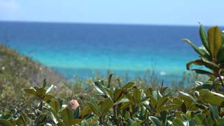 Zoom to Gulf showing reef line